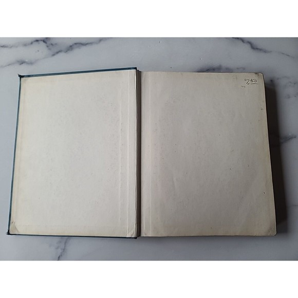 French Level Two - Picture 2 of 10